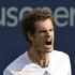 andy murray us open 