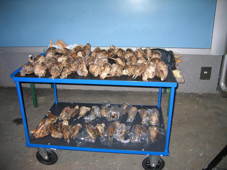  | Avtor: Žurnal24 main