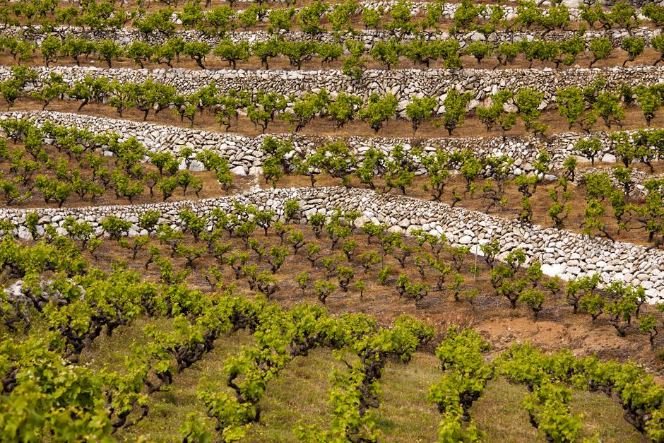 HTS | Avtor: Zoran Jelača