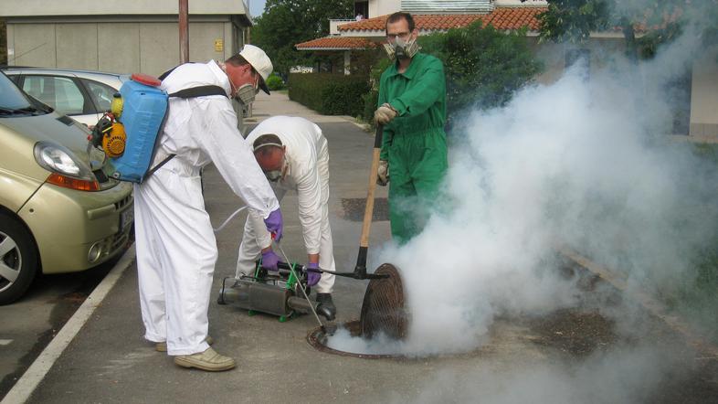 "Poleti se število prebivalcev na Obali močno poveča, ljudje pa proizvedemo čeda