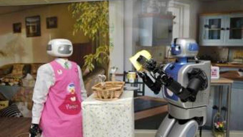 Robota bi lahko uporabili tudi za delo v pogojih, nevarnih za ljudi. (Foto: mond