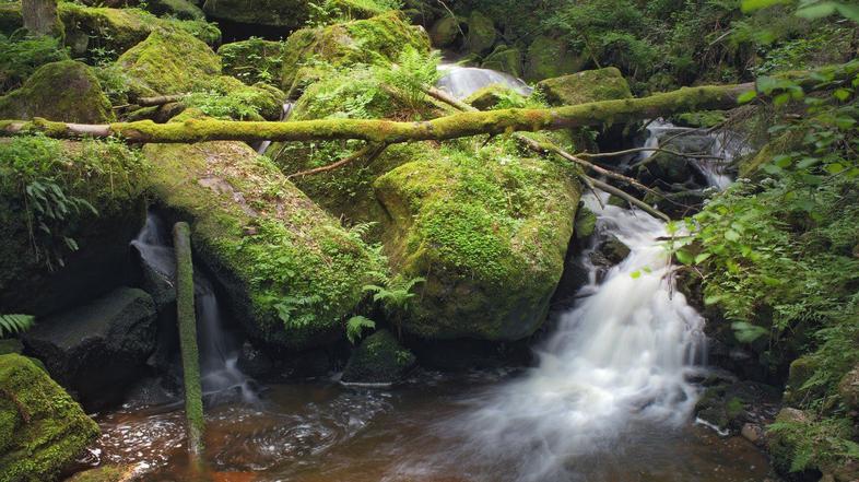 Potok. Slika je simbolična.