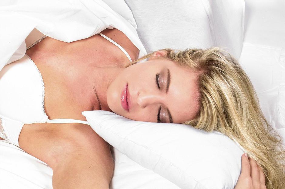 Lesnina XXXL | Avtor: Lesnina XXXL