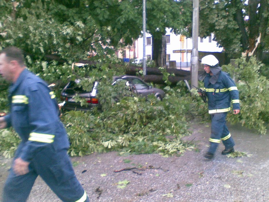 Logatec, neurje, porušeno drevo, avtomobil, 06. 07. 2010