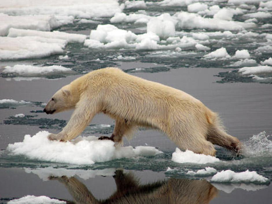 Podnebne spremembe | Avtor: Žurnal24 main