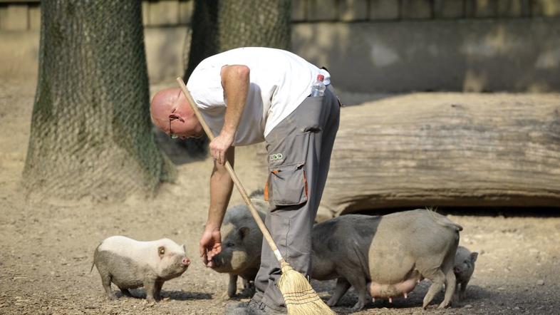 Živalski vrt Ljubljana