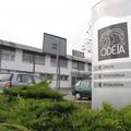 Odeja 