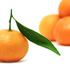 mandarine