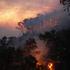 Po navedbah gasilcev naj bi pogorelo že 1200 hektarjev zemlje .  