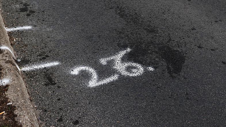 prometna nesreča dunajska