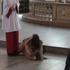Seks v cerkvi