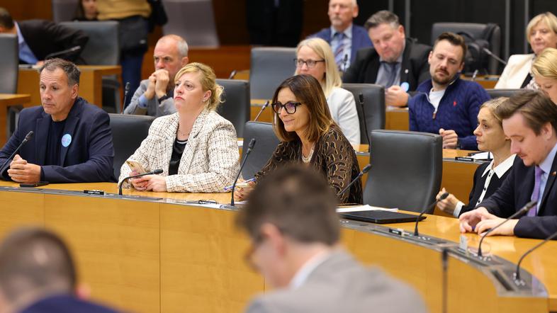 Državni zbor, poslanci