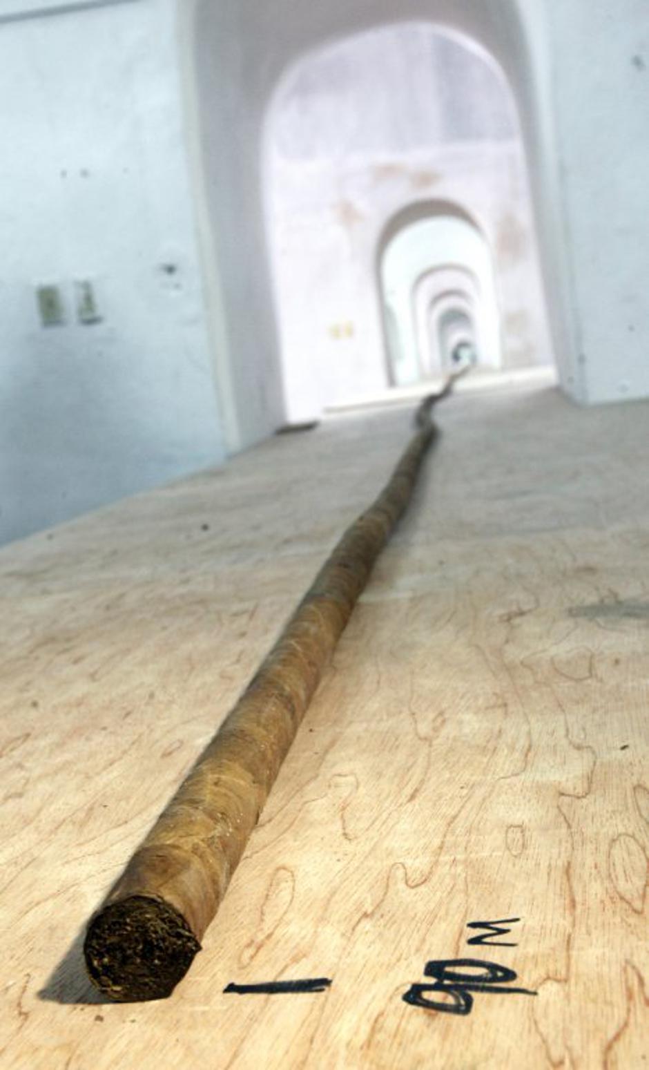 Fidel Castro 90 let | Avtor: EPA