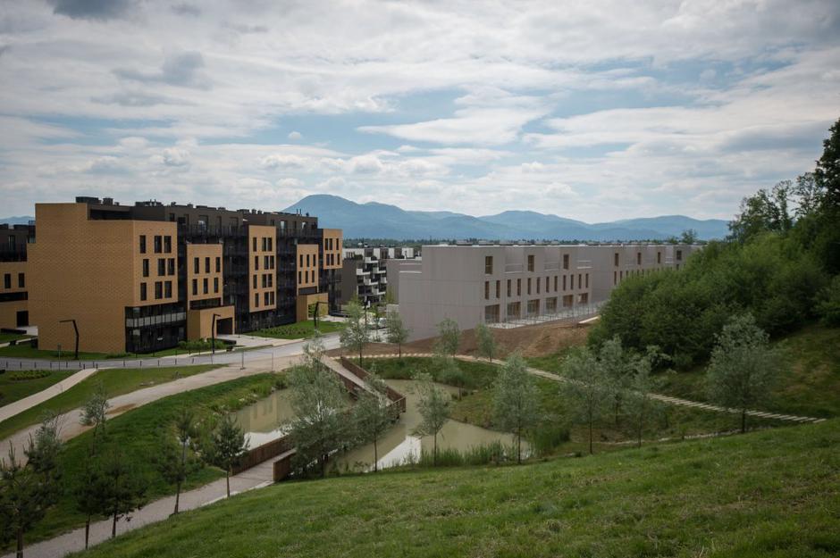 Zeleni Gaj | Avtor: Anže Petkovšek