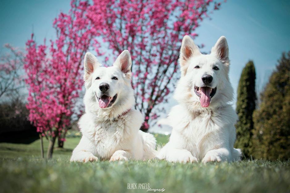 Damjana Jugovic | Avtor: Kristjan Šmigoc - Kriko