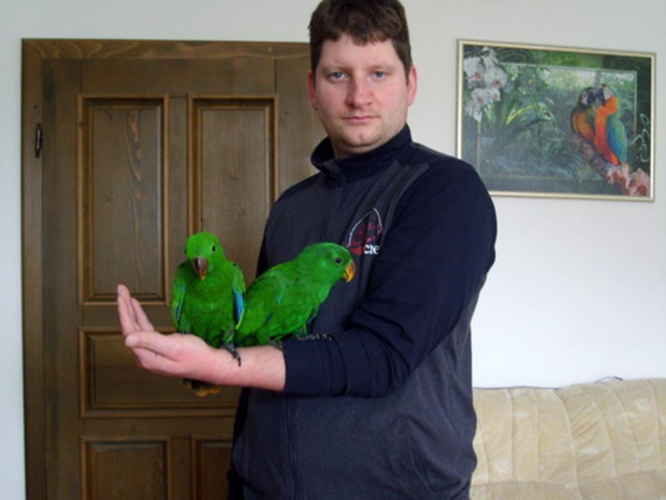 Eklektus | Avtor: Miha Purgar