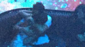 Orlando Bloom, Selena Gomez