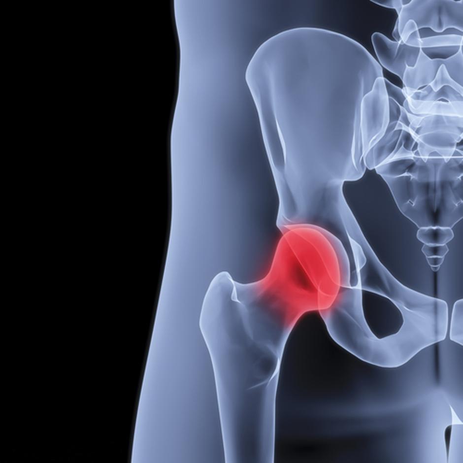 KOLK | Avtor: Shutterstock