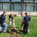 Otroci z osnovne šole Božidarja Jakca so pri projektu Ekošola zasadili drevesa.