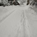 Sneg in zasnežena cesta
