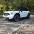 Mednarodna predstavitev: Mini countryman