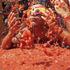 Festival Tomatina v Španiji.