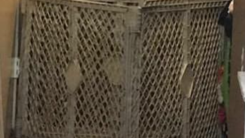 mučenje otrok comal