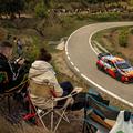 Thierry Neuville WRC Španija