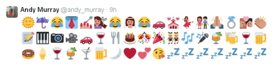 Andy Murray, tvit pred poroko | Avtor: Reševalni pas/Twitter