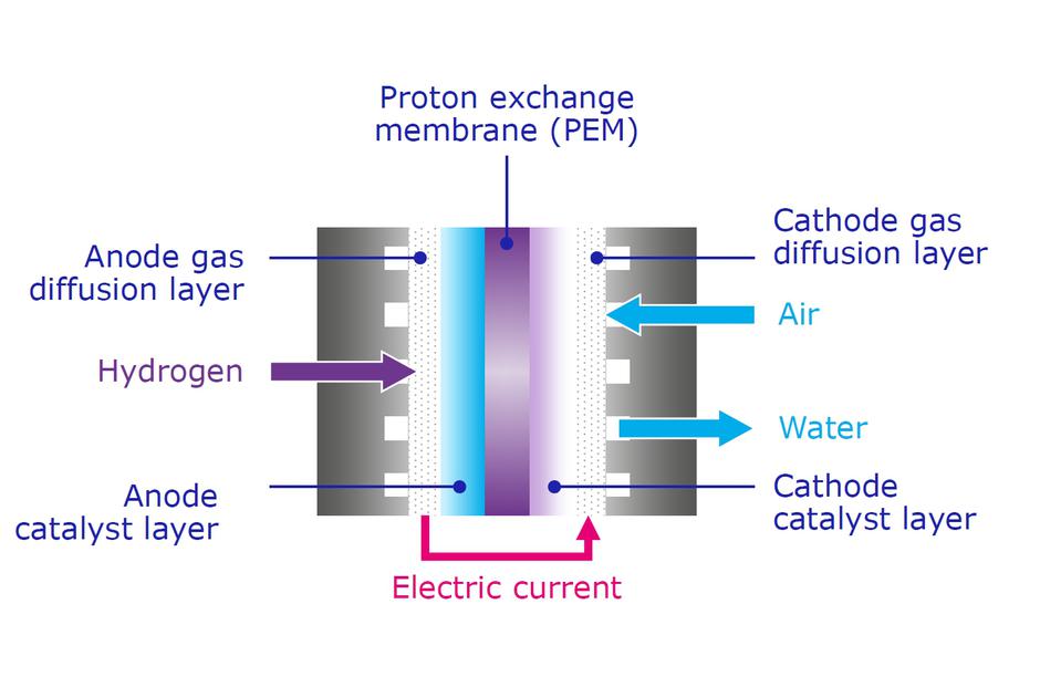 toyota mirai, gorivne celice, toyota, toyota adria, vodikova družba | Avtor: Toyota