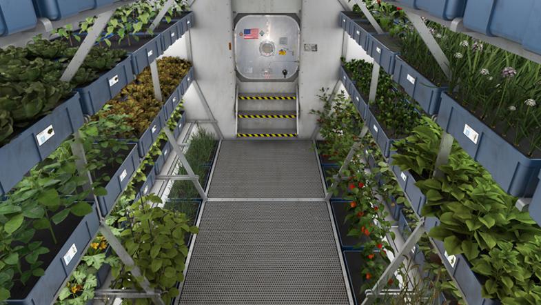 Rastlinjak v vesolju