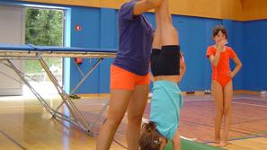 V Sevnici se trudijo za oživitev gimnastike in sokolskega duha. (Foto: Arhiv dru