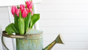 Z rožami in okrasnimi elementi lahko poživite vsak prostor. (Foto: Shutterstock)