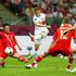 Blaszczykowski Žirkov Poljska Rusija Euro 2012 Varšava