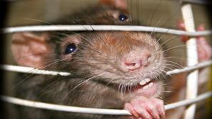 (Foto: Shutterstock)