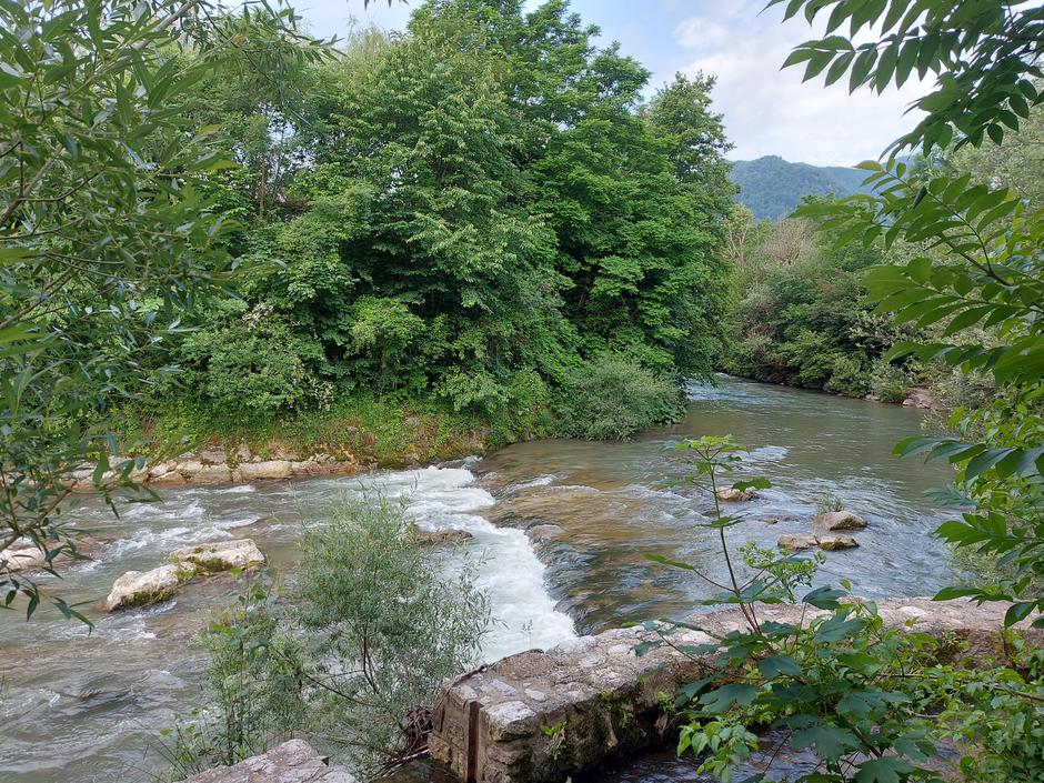 Selška Sora, reka, Škofja Loka | Avtor: M. Ha.