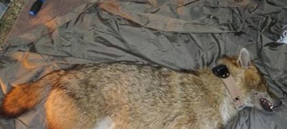  | Avtor: Dr. Hubert Potočnik