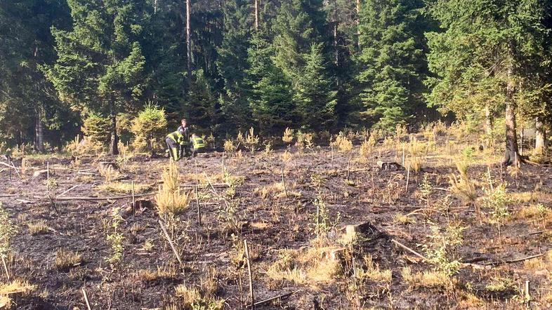 intervencija požar Smlednik