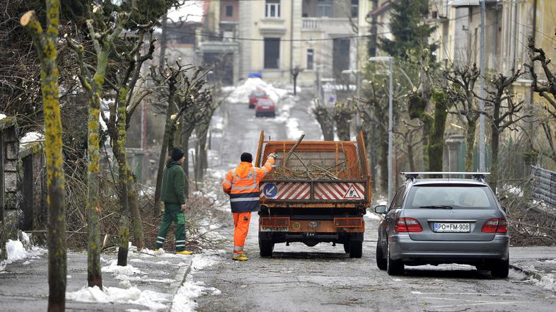 slovenija 08.02.14, ciscenje drevja, kidanje, sneg, led, zled, ciscenje lesa, de
