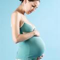 Preiskava v nosečnosti veliko pove o zdravju še nerojenega otroka. (Foto: Shutte