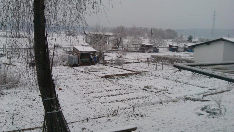 Novozapadli sneg v Kamniku