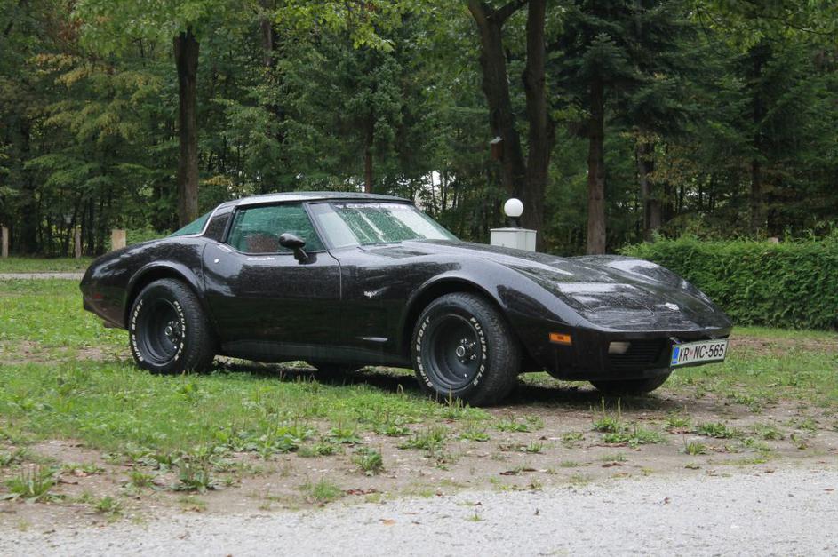 12th ALL American CARS Meeting Ljubljana