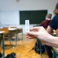 Samotestiranje v slovenskih šolah