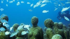 Jason de Caires Taylor, skulpture, morje, voda