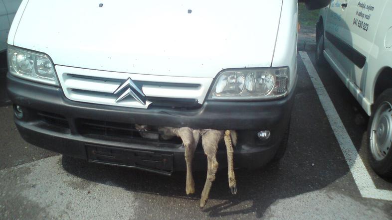 (Foto: Žan Zupančič)