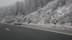 Snežna ujma v Postojni