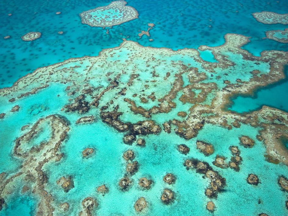 Great Barrier Reef, Avstralija
