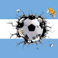 Argentina zastava žoga