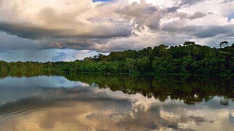 Gre za eno najhujših katastrof, ki zadeva onesnaževanje okolja. V Ekvadorju bele