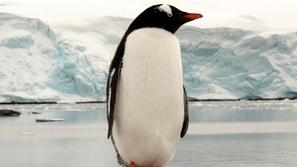 (Foto: Shutterstock)